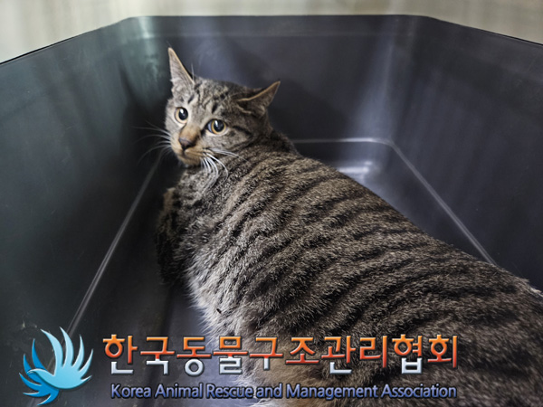 한국동물구조관리협회_441398202400615